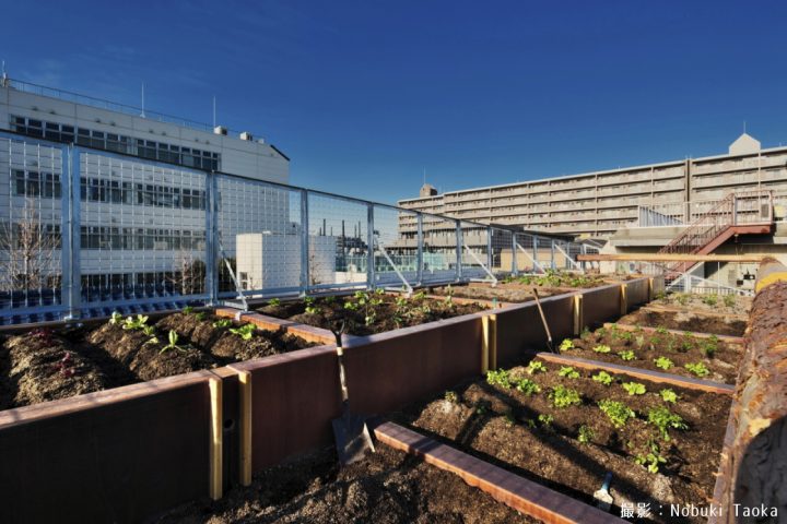 気分爽快！天空の畑付き賃貸住宅～屋上に各戸専用の家庭菜園がついている3層メゾネット物件 - 楽しいコンセプトのある賃貸 住宅を紹介するウェブマガジン｜ワクワク賃貸®︎